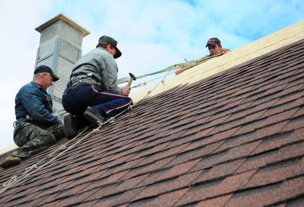 Best Storm Damage Roof Repair  in Youngstown, NY
